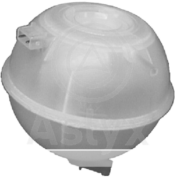 pinon bomba – 193037