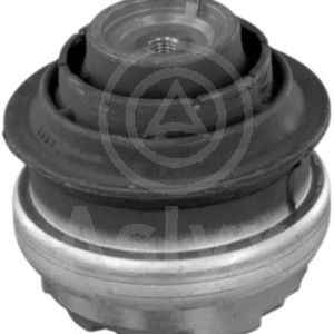 jgo rep – 2013300275