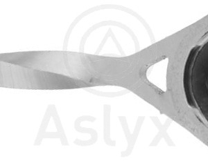 rodillo tensor – 8200104754