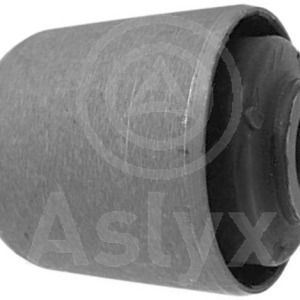 jgo silentblocs – 54560VK300