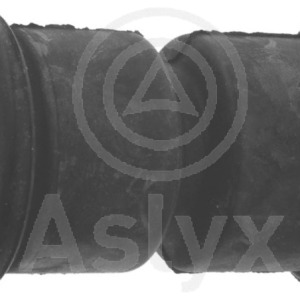 soporte amortiguador – 6025305980