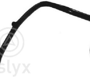 jgo gomas – 1243235485S1