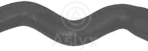 mgto superior – 1343AR