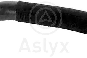 mgto de – 11617799395