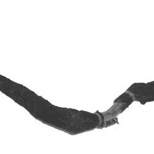 tirante susp – 1377449