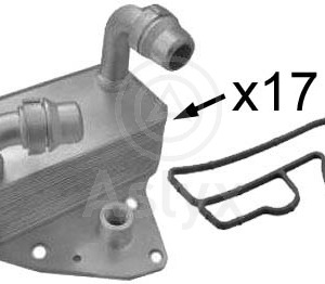 mgto toma – 55202255