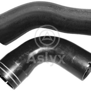 jgo mgtos – 51810956