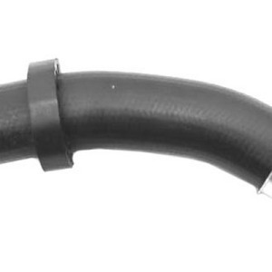 mgto inf – 11531726344