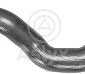 colector de – 55219331