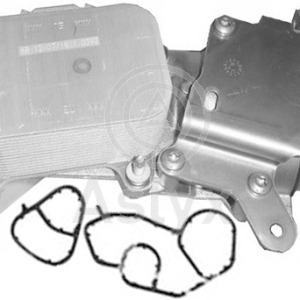 jgo capuchon – 1061720