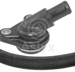 sop muelle – 5033C3