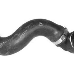botella expans – 51845798