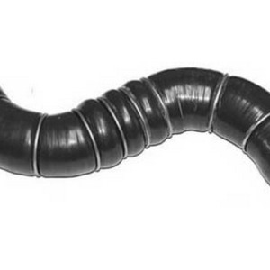 jgo mgtos – 144608245R