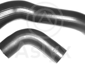 botella Focus – 1438913