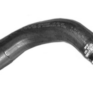 Limpia trasero – 51846451