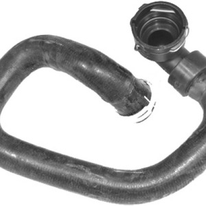 rodillo tensor – 1372770