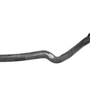 botella expansi¢n – 17137647283