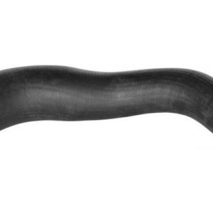 polea ciguenal – 1329202