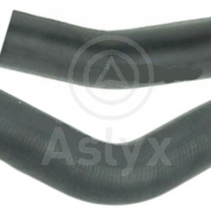 mgto inf – 55700528