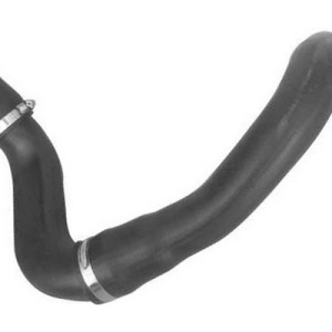 Limpia trasero – BB5317402AA