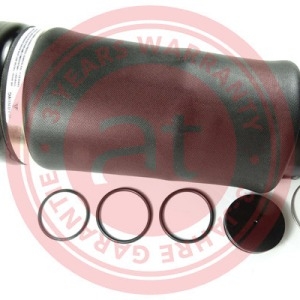 2513203013 > Ressort pneumatique, suspension