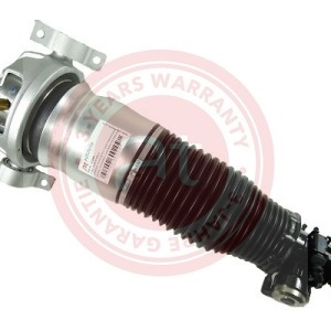 7L8616020D > Amortisseur télescopique pneumatique