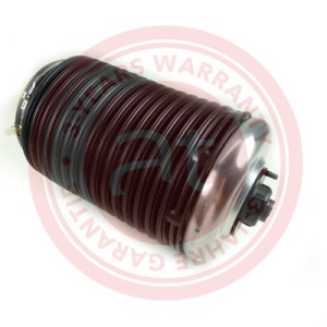 4G0616002T > Ressort pneumatique, suspension