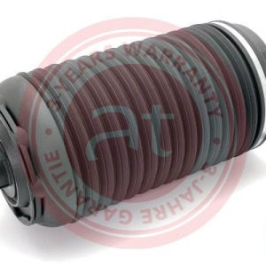 95B616002B > Ressort pneumatique, suspension