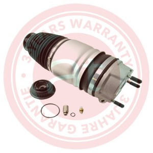 95835803910 > Ressort pneumatique, suspension