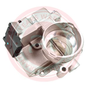 045128063G > corps de papillon