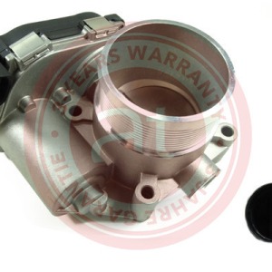 06F133062T > corps de papillon