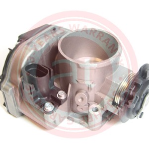 06A133063G > corps de papillon