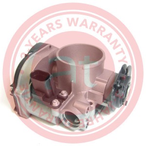 06A133063F > corps de papillon