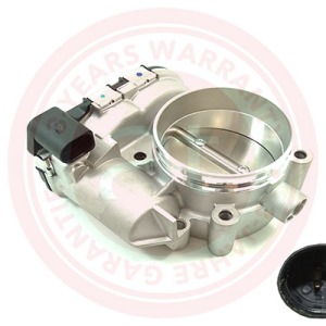 079133062C > corps de papillon