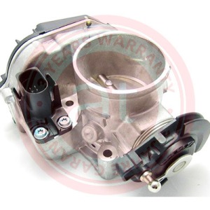 058133063F > corps de papillon