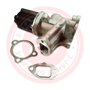 55219501 > Vanne EGR