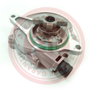 8692667 > Pompe à vide, système de freinage