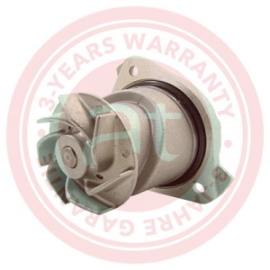 95510601100 > pompe à eau