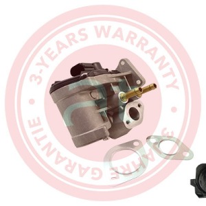 03C131503B > Vanne EGR