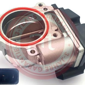 059145950R > corps de papillon