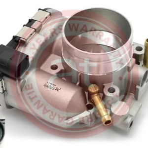 06A133062F > corps de papillon