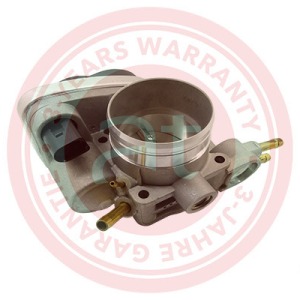 06B133062P > corps de papillon