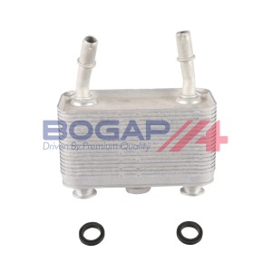 Manguera 17207500754