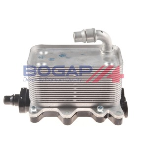 Manguera 17217803830