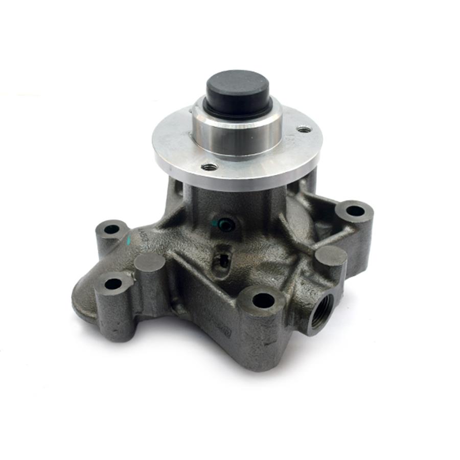 MK667228, Pompe à eau