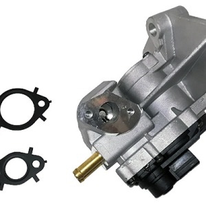 Valve EGR 06F131503A