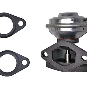 Valve EGR 7700100230