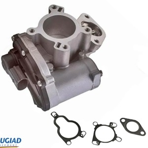 Valve EGR 8200693739