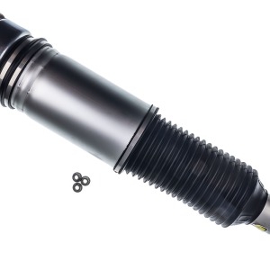 SUSPENSION PNEUMATIQUE DKM 44-262235