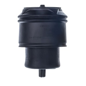 SUSPENSION PNEUMATIQUE DKM 40-312767